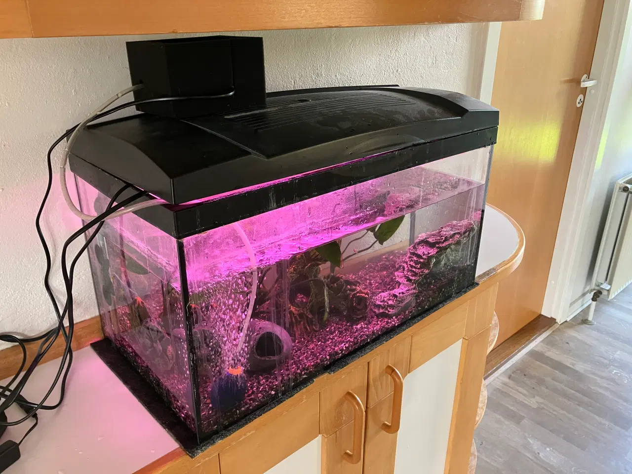 Billede 9 - Akvarium og fisk
