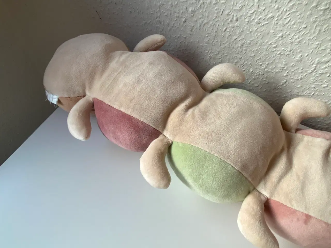 Billede 6 - Bamse larve 