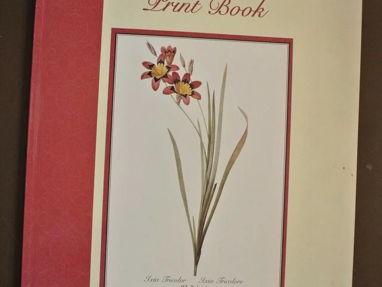 Billede 1 - redoute lilies - print book - 50 selected prints, 