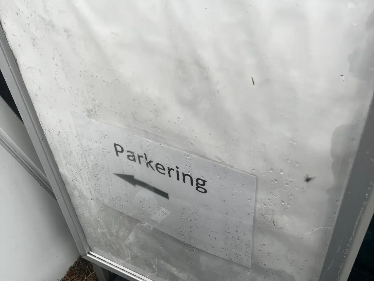 Billede 2 - Gade sælger  pr stk 300. 