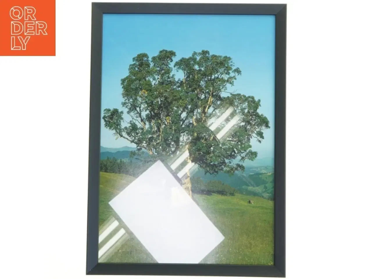 Billede 1 - Indrammet plakat med et træ fra Posterland (str. 29,8x42 cm)