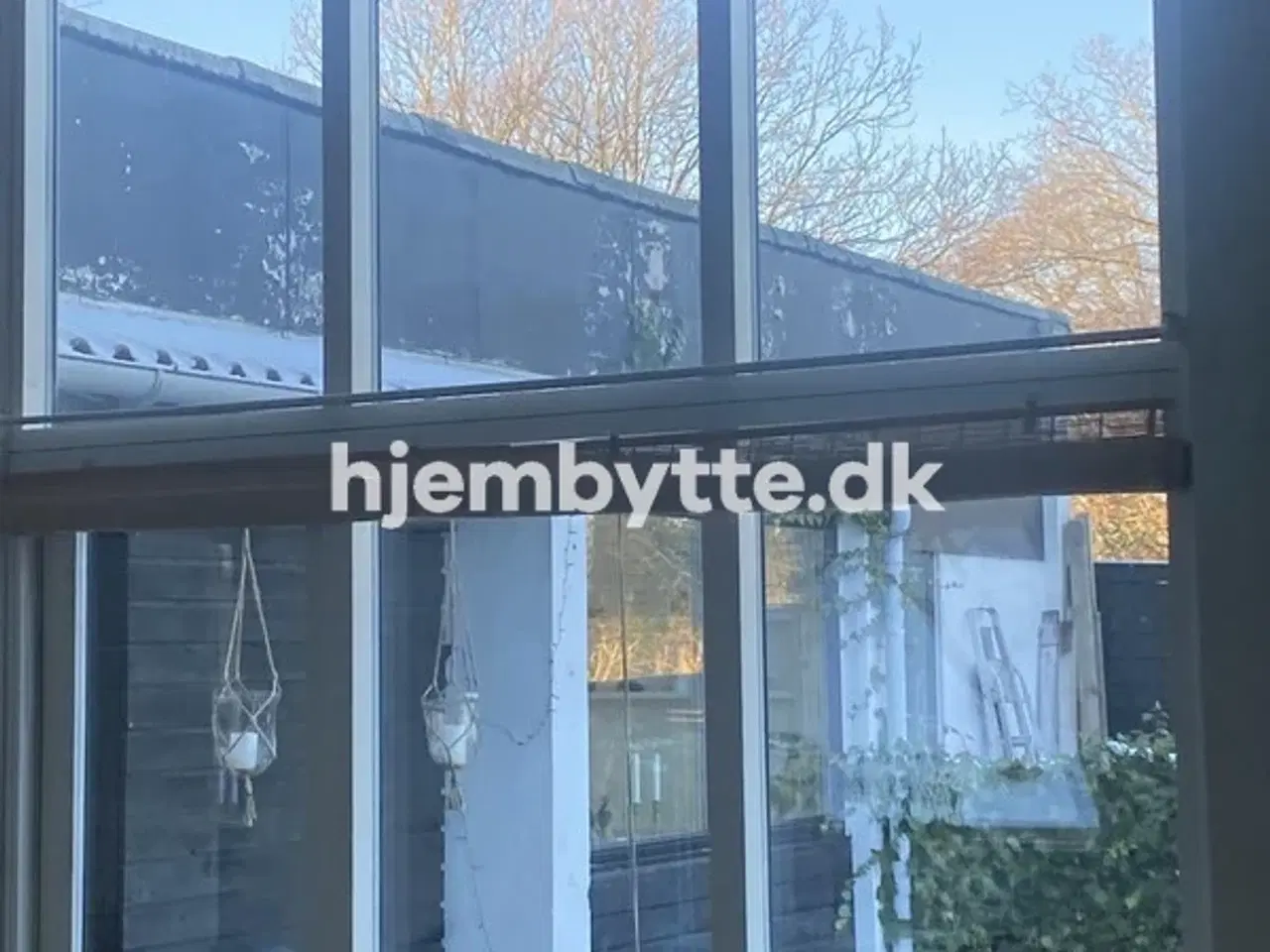 Billede 5 - Hjembytte - Æblerosestien