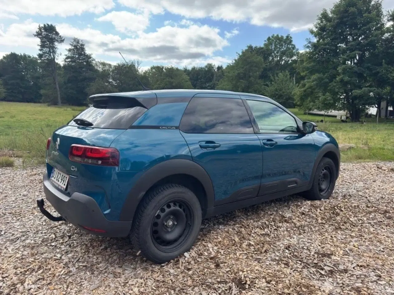 Billede 7 - Citroën C4 Cactus 1,6 BlueHDi 100 SkyLine