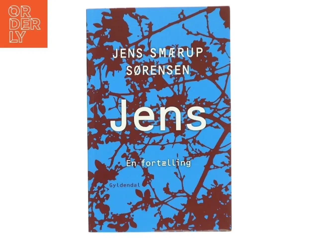 Billede 1 - Jens : en fortælling af Jens Smærup Sørensen (Bog)