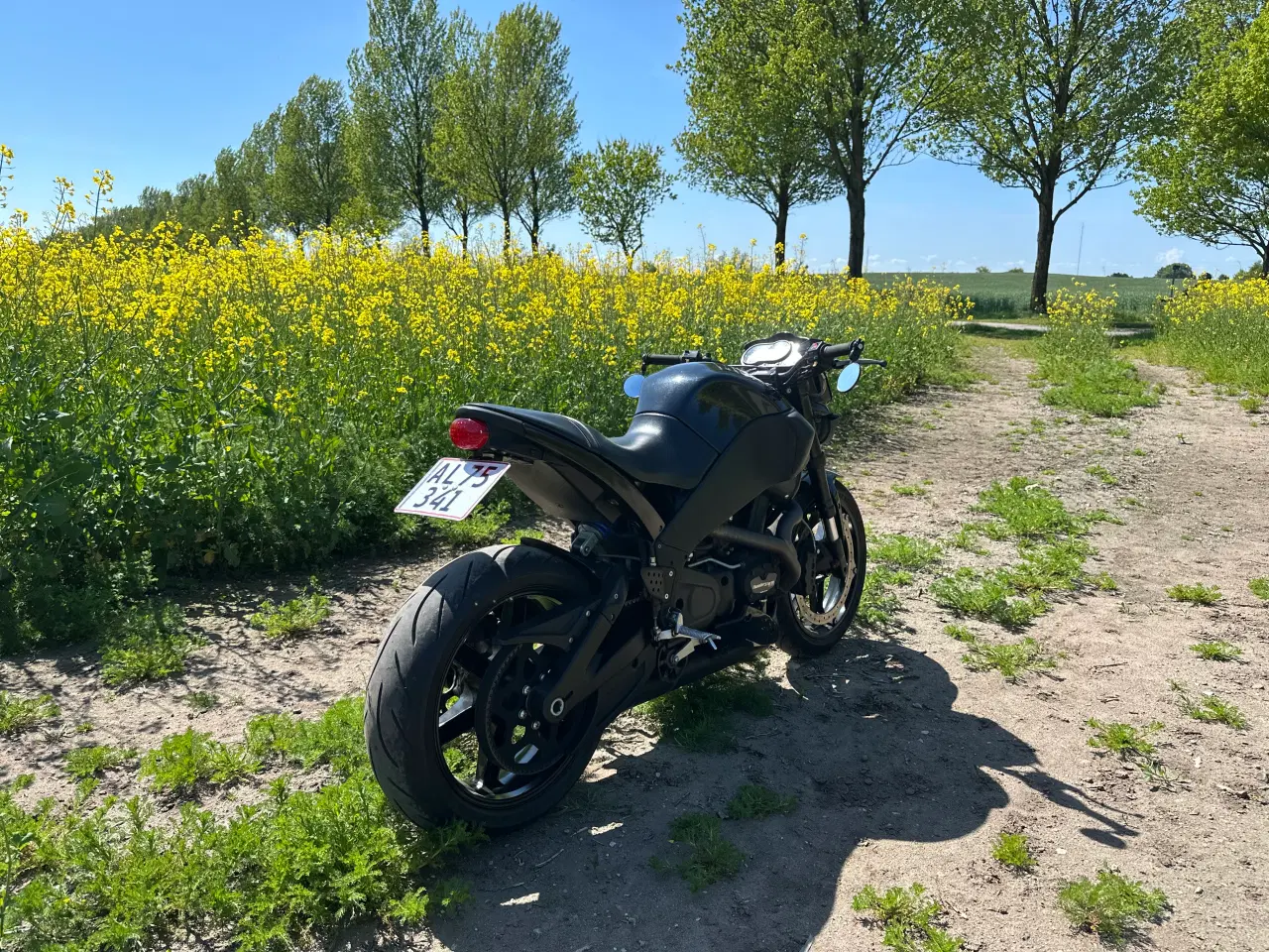 Billede 5 - Buell xb12s Lightning low blackout 