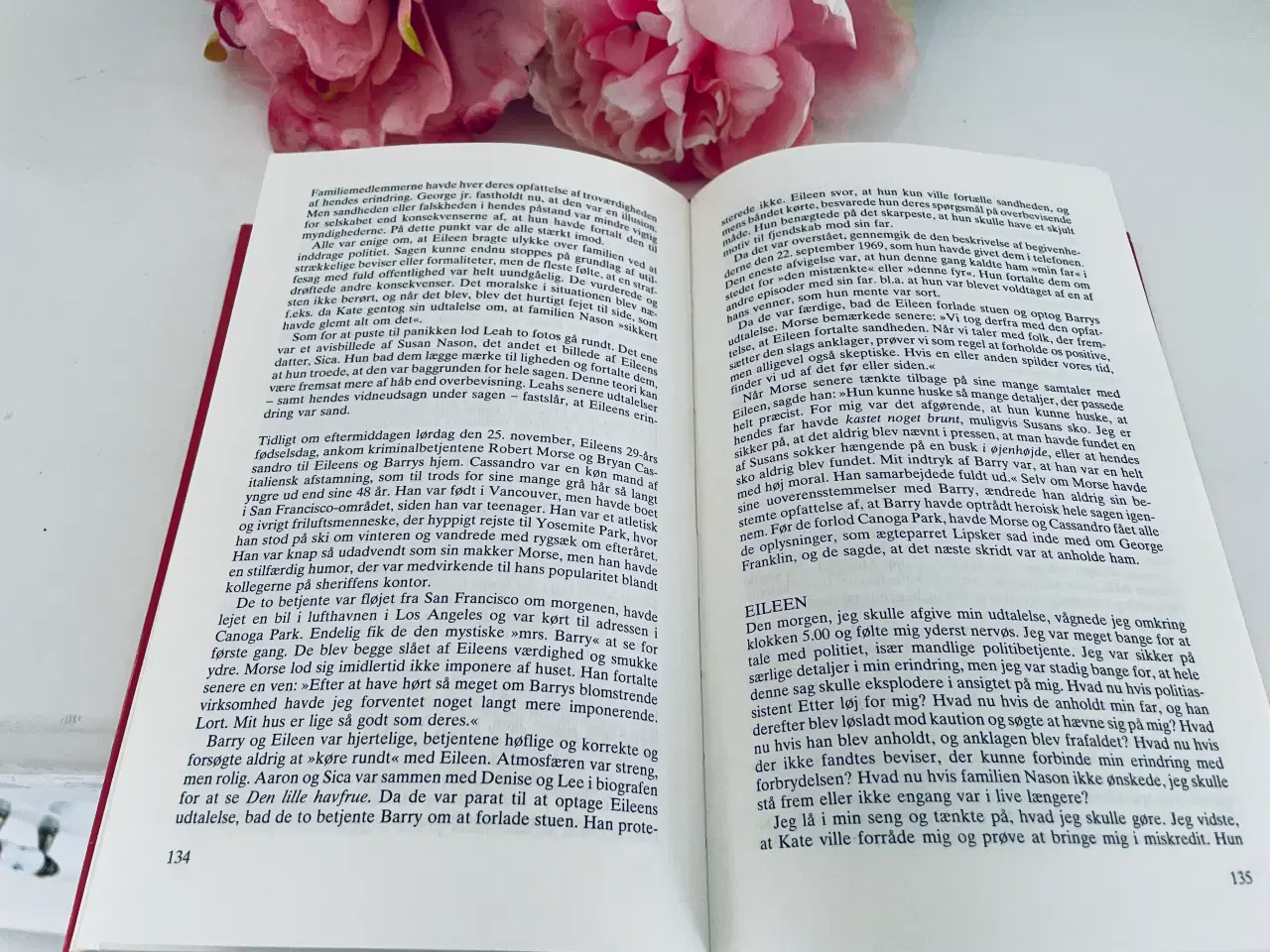 Billede 3 - En fars forbrydelser