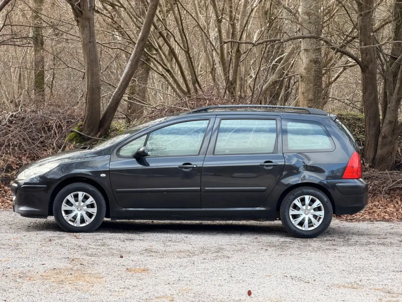 Billede 8 - Peugeot 307 1,6 Complete SW