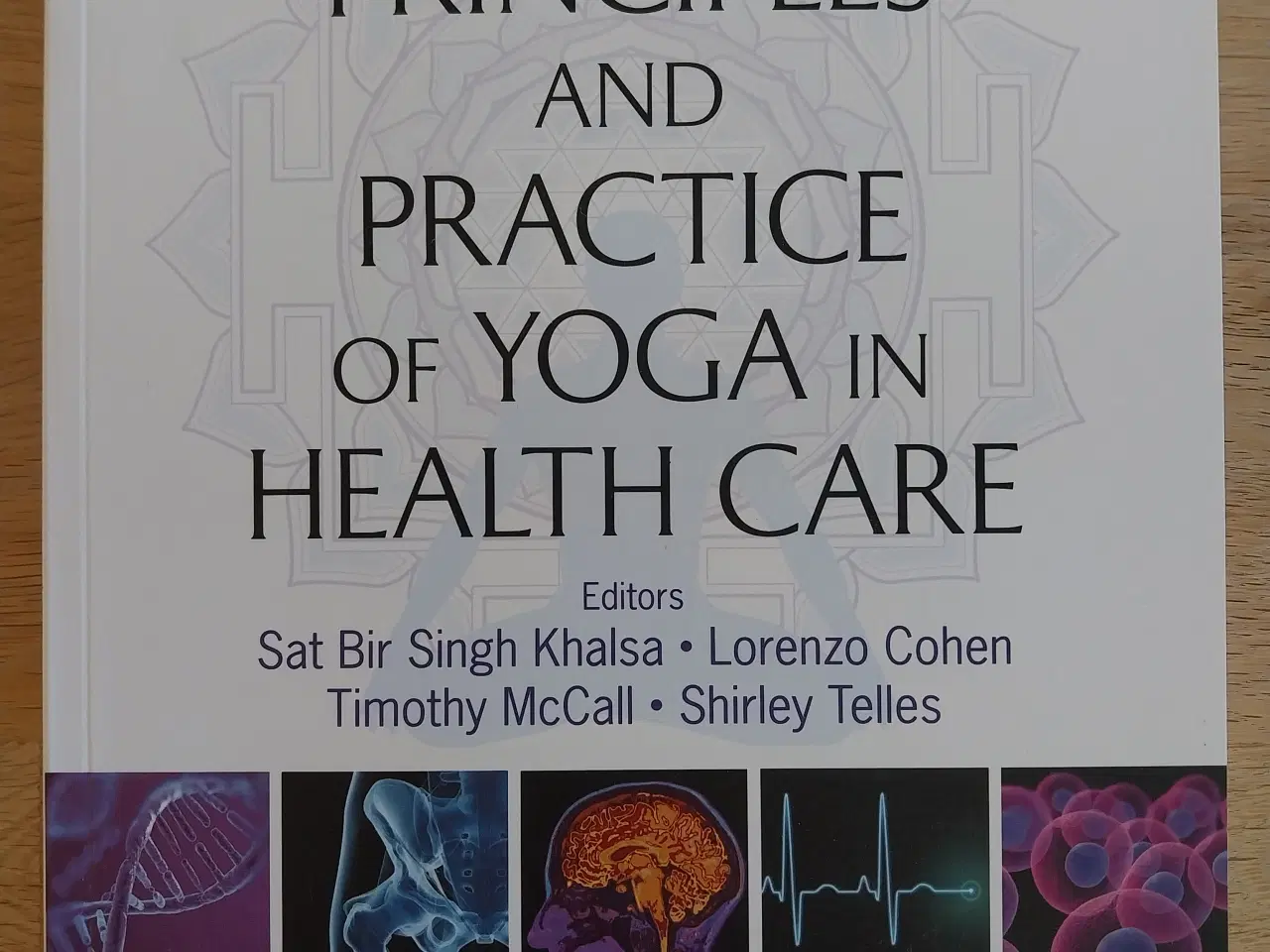 Billede 1 - The Principles and Practice of Yoga in Health Care
