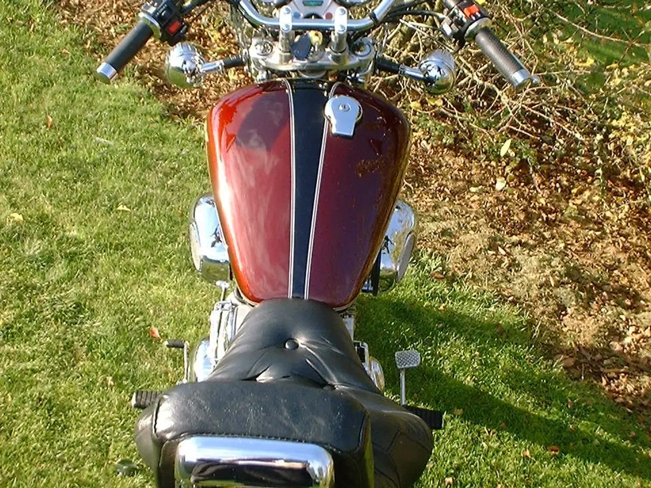 Billede 4 - Virago XV750