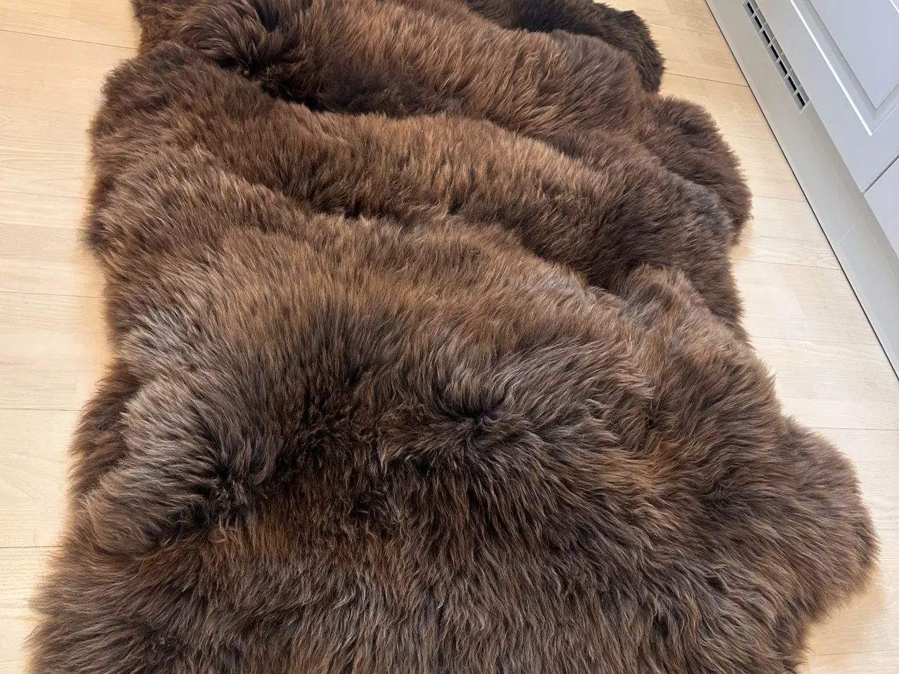 Billede 3 - 4 helt nye lammeskind