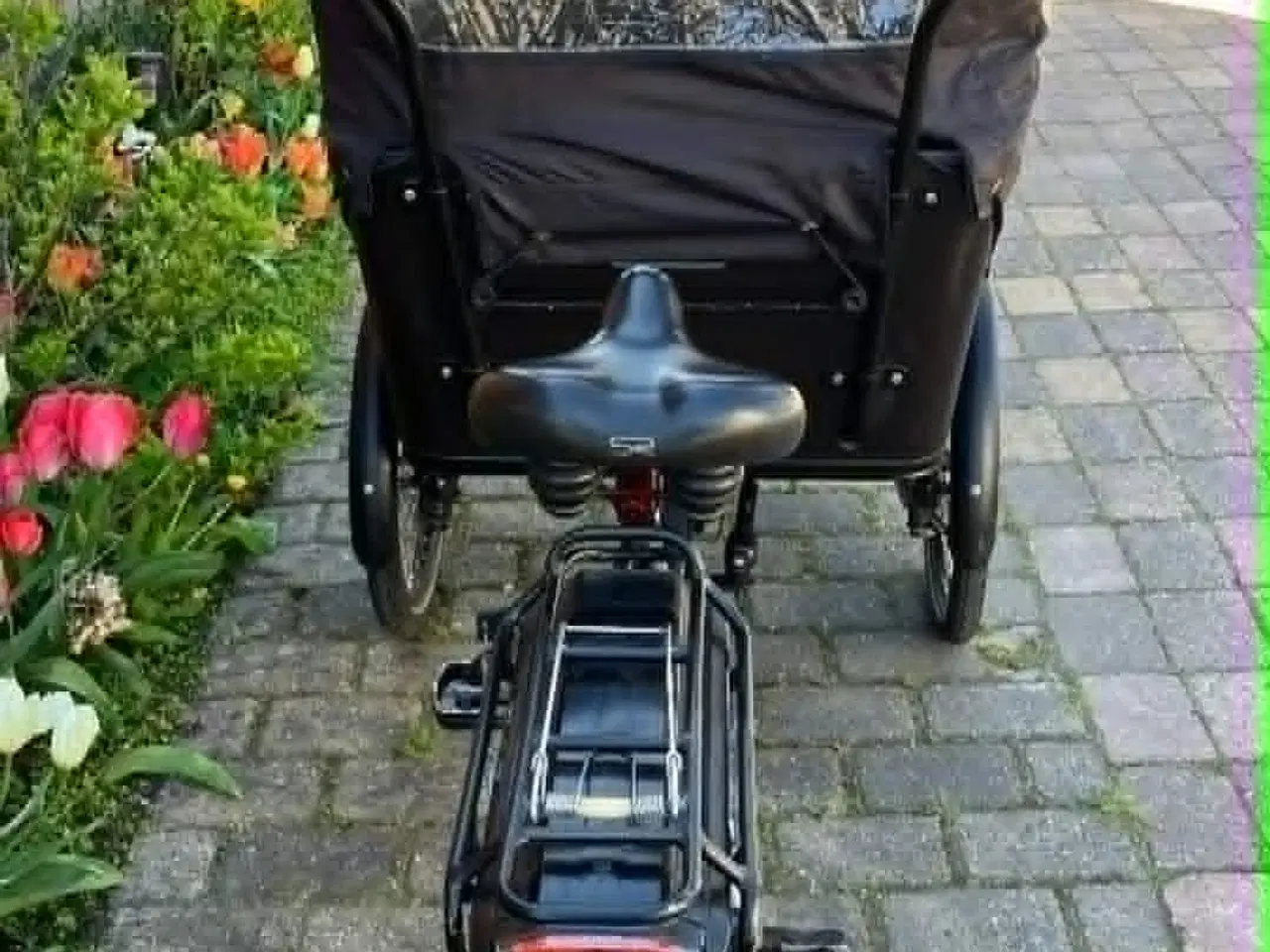 Billede 3 - SMUK EL SCO