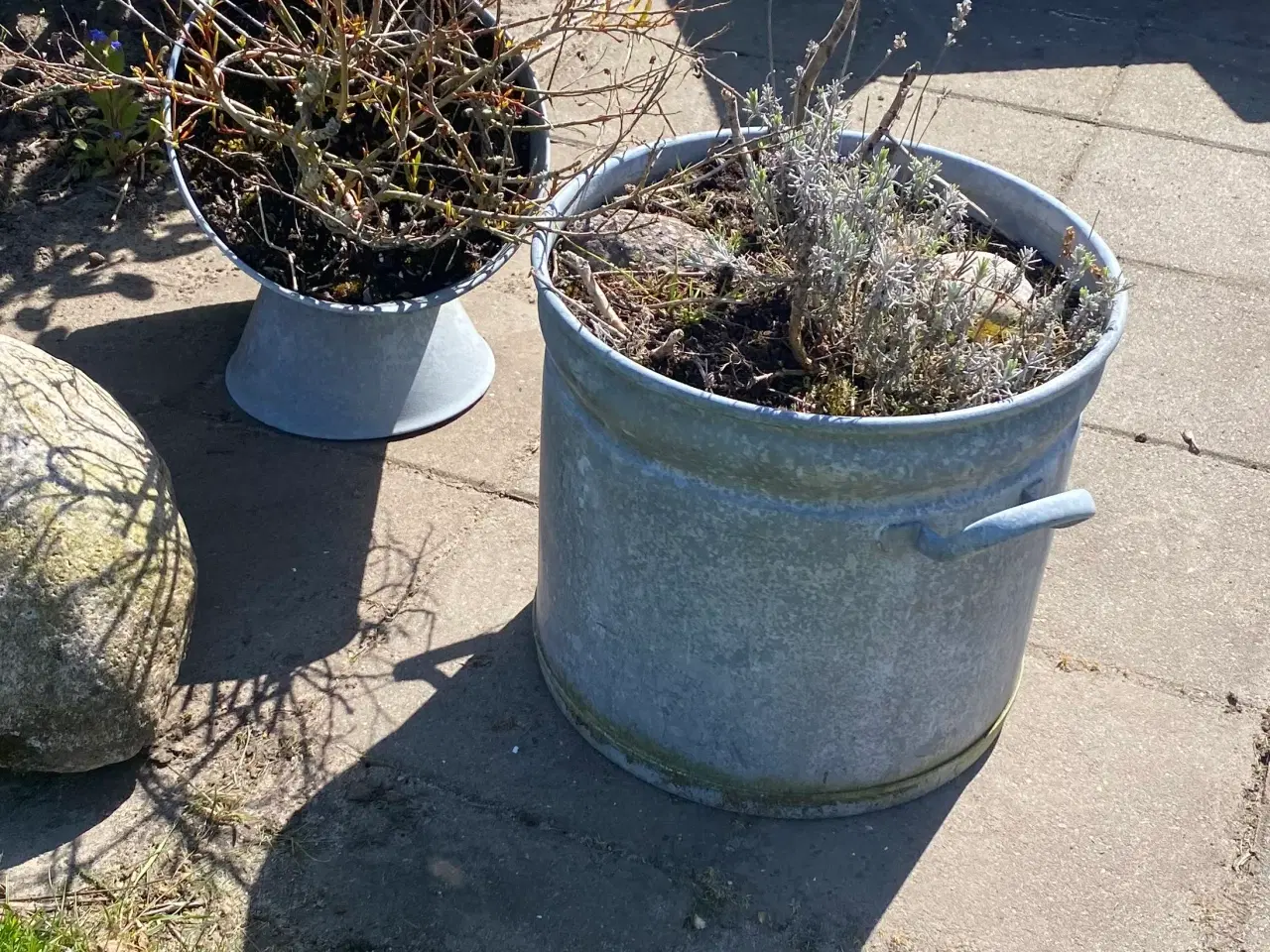 Billede 1 - Zinkbalje, spand, tørv 