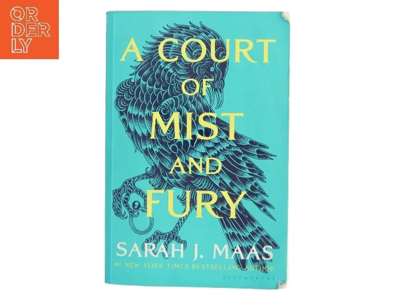 Billede 1 - A Court of Mist and Fury af Sarah J. Maas (Bog)