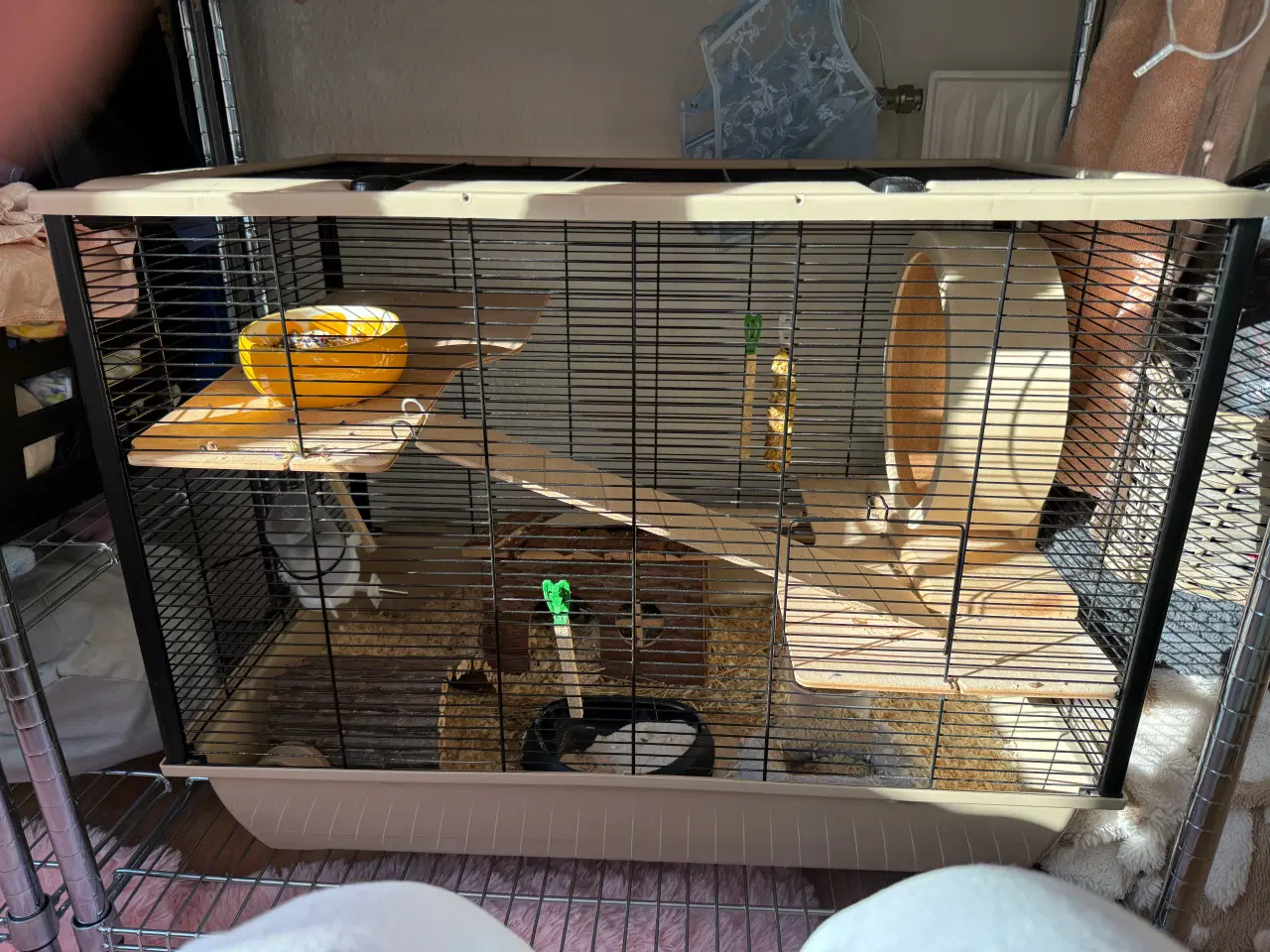 Billede 1 - Hamster med bur og diverse