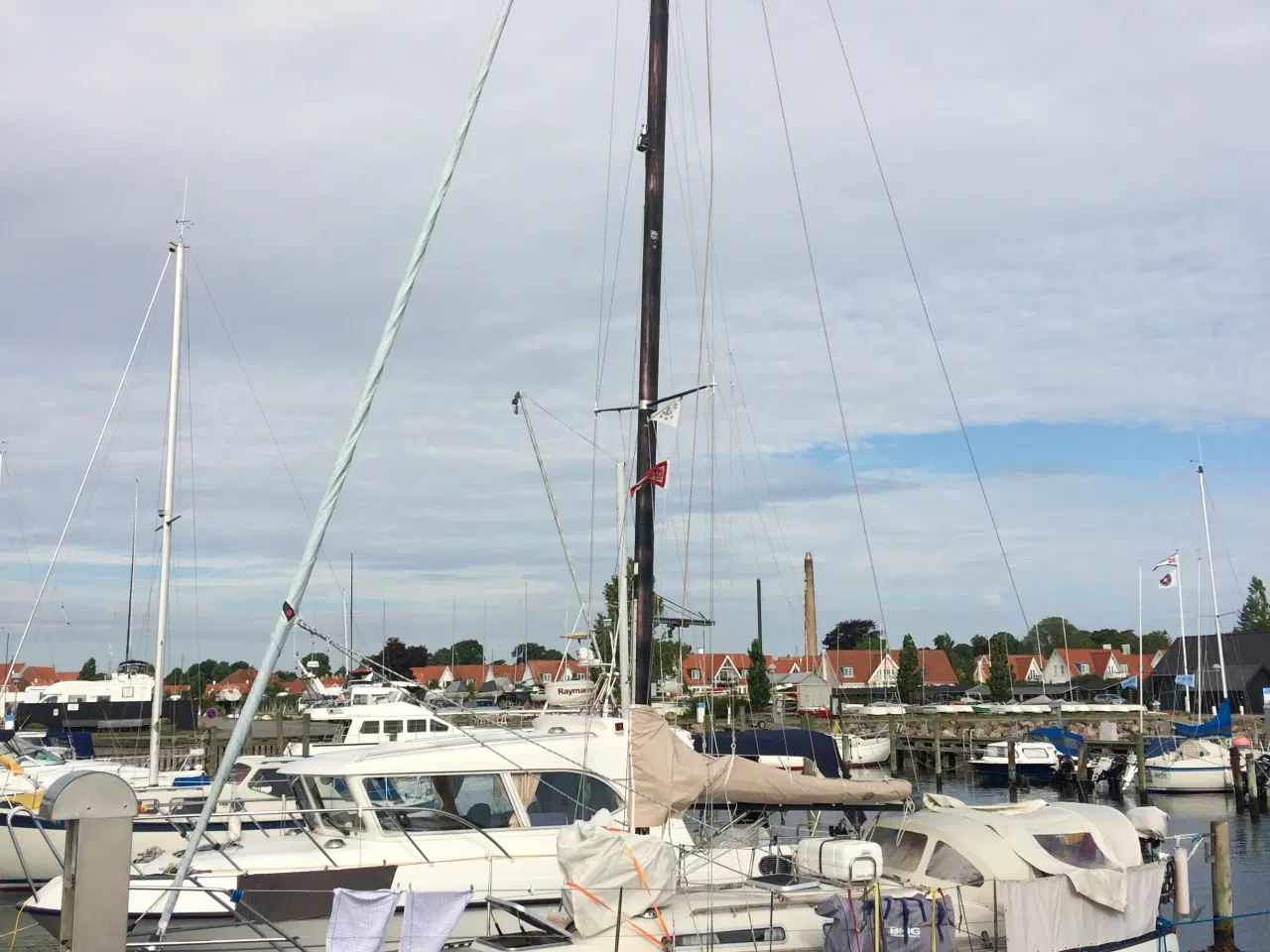 Billede 3 - Blue Dane 32