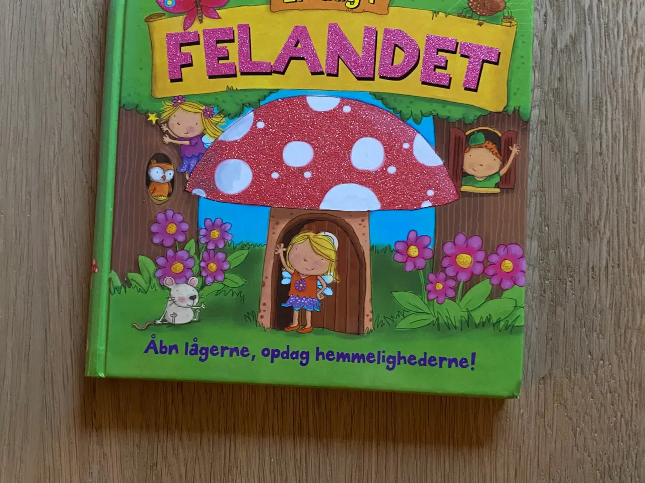 Billede 1 - En dag i Felandet