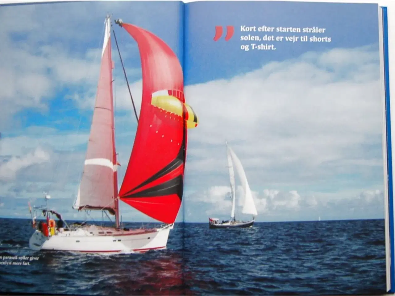 Billede 8 - DORADOER & DELFINER – Kapsejlads over Atlanten