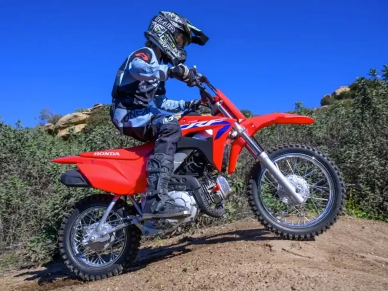 Billede 1 - Honda CRF110 F Pitbike/Crosser