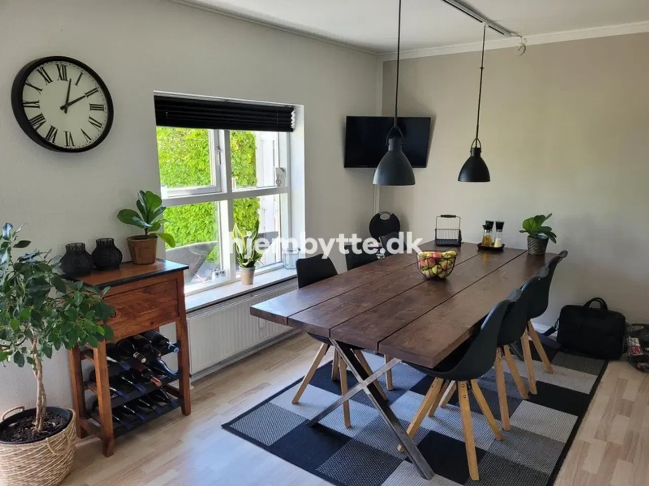 Billede 2 - Hjembytte - Enebærhegnet