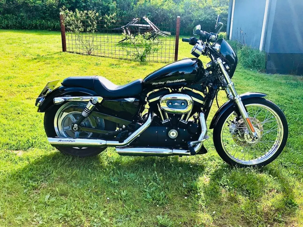 Billede 7 - Harley Davidson Sportster 883 Custom 