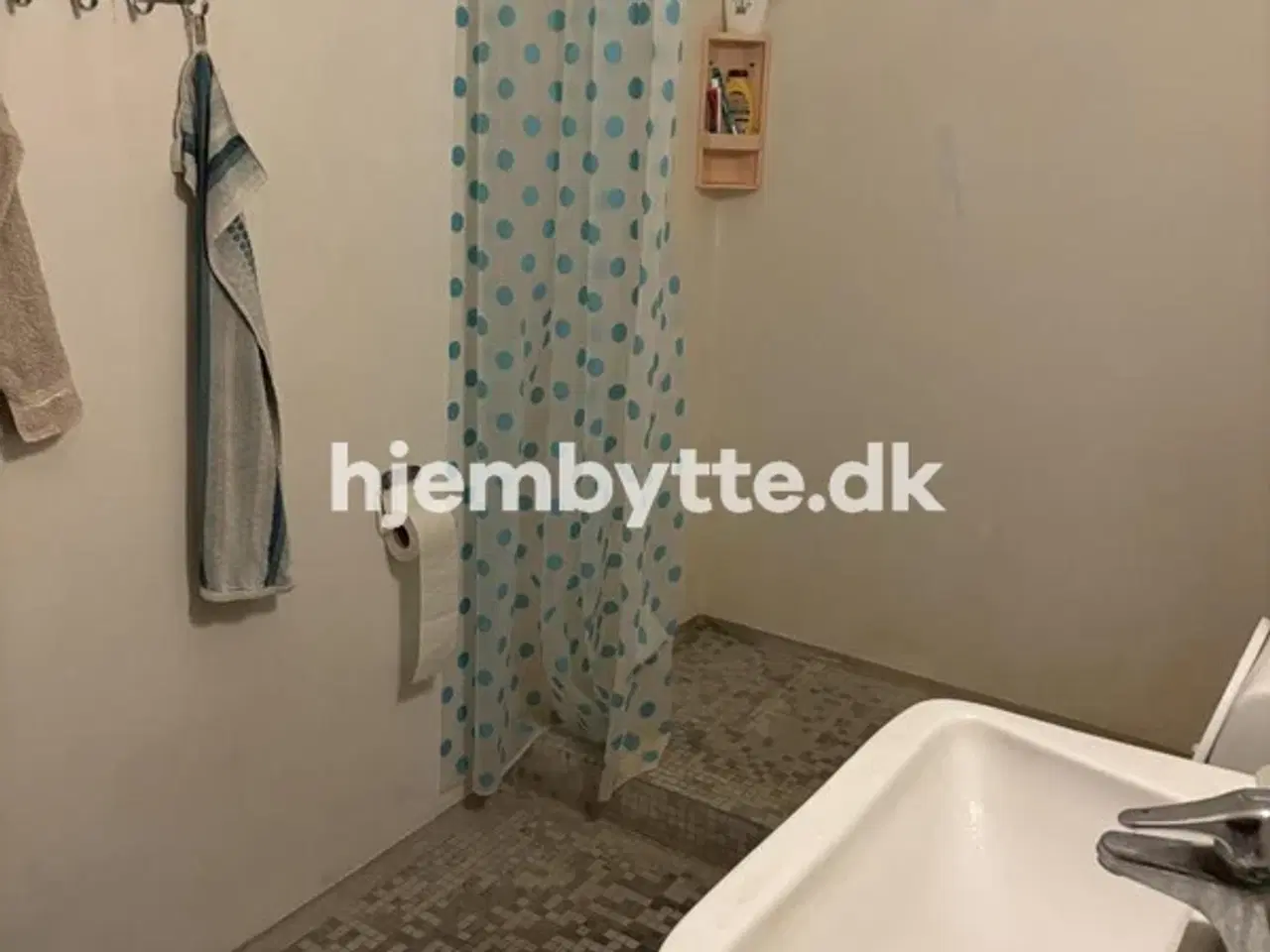 Billede 3 - Hjembytte - Hallingparken