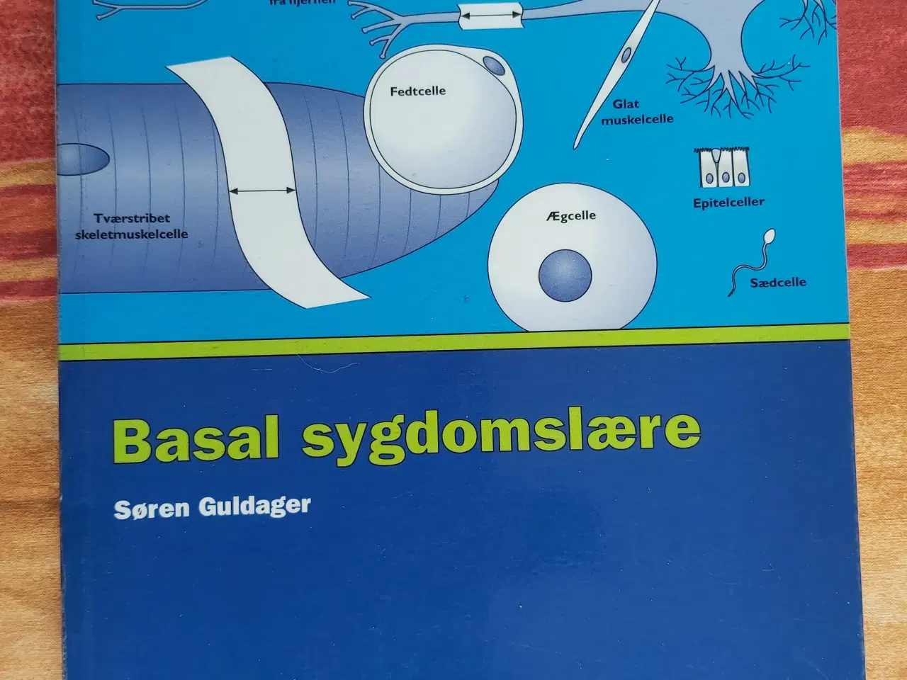 Billede 1 - Basal sygdomslære