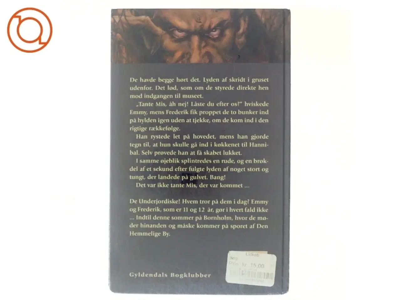 Billede 3 - Den hemmelige by af Kirsten Sonne Harild