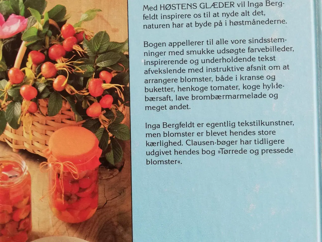 Billede 5 - Hobby bøger