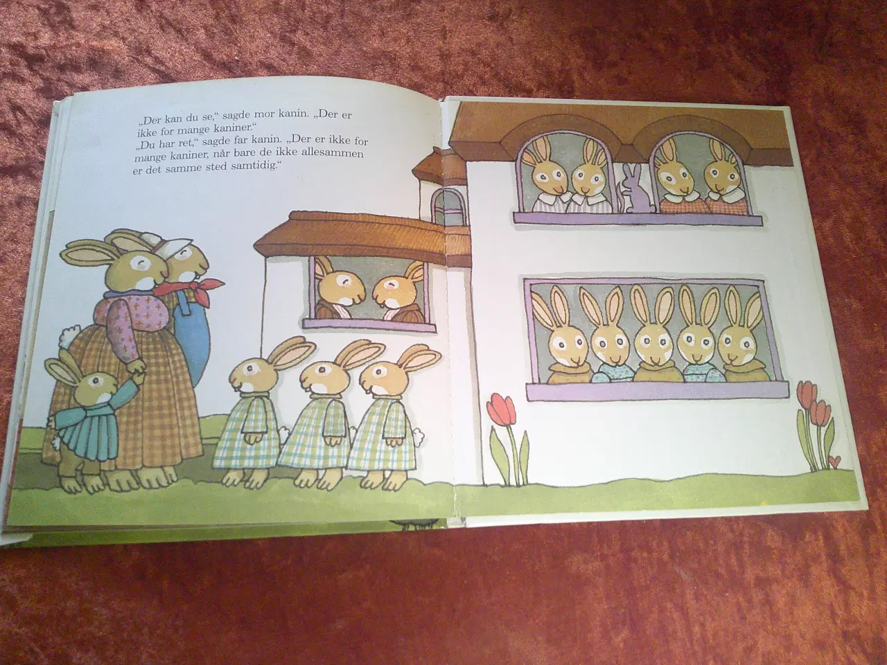 Billede 4 - For mange kaniner, Tomie De Paola