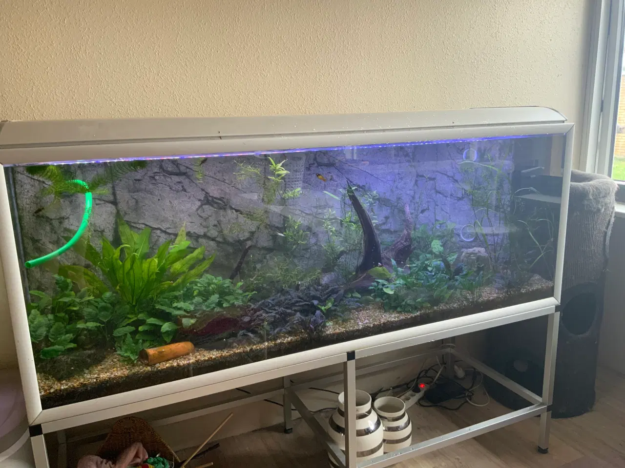 Billede 1 - 530 L akvarie med bord mm.