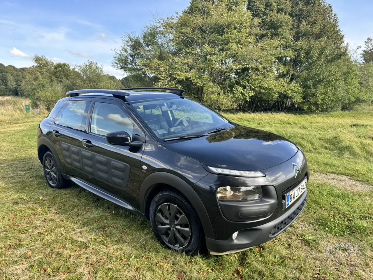 Billede 2 - Citroën C4 Cactus