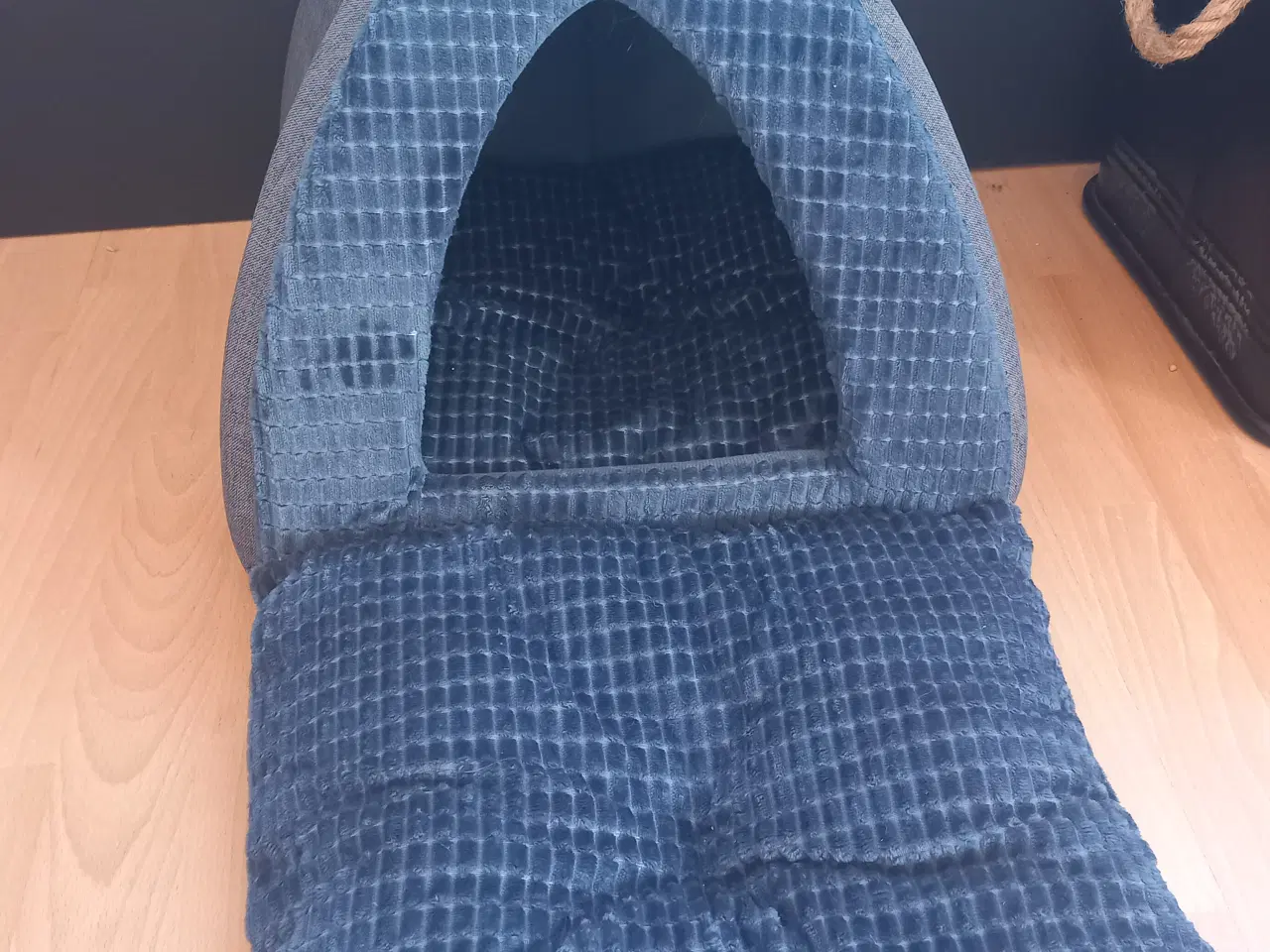 Billede 6 - 11 uger killinger 