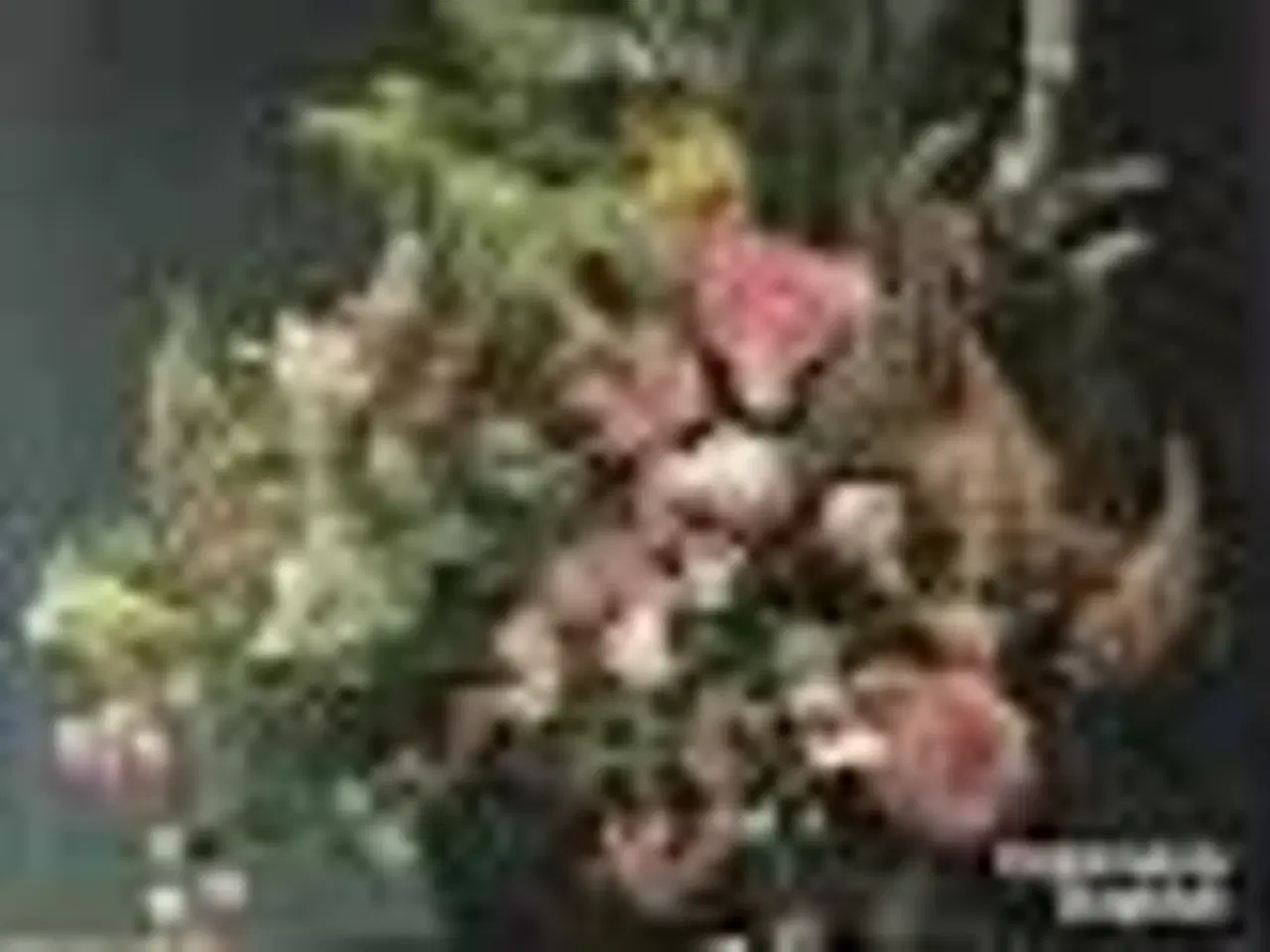 Billede 1 - Bind blomster med Bering