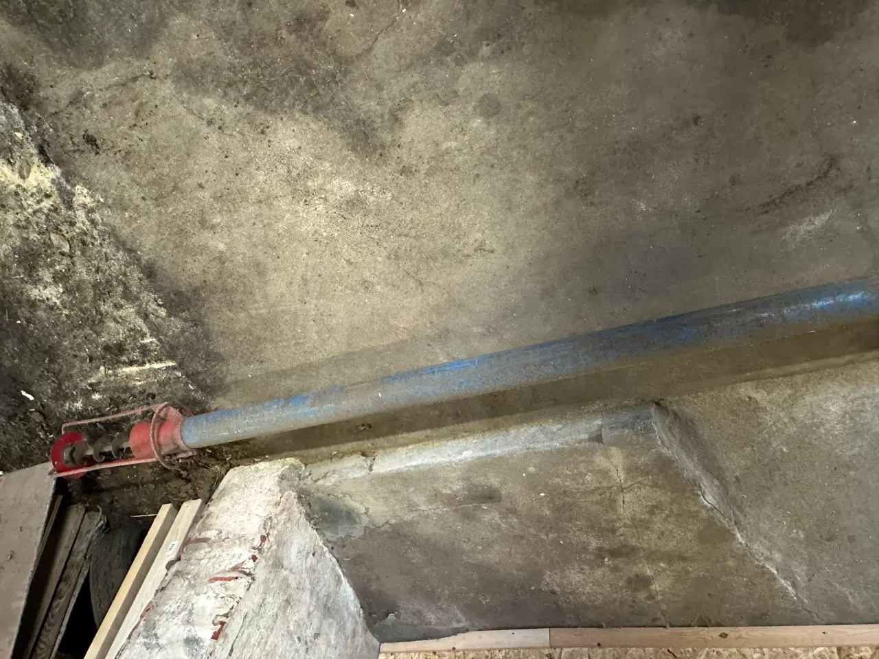 Billede 1 - Kornsnegl 3 m