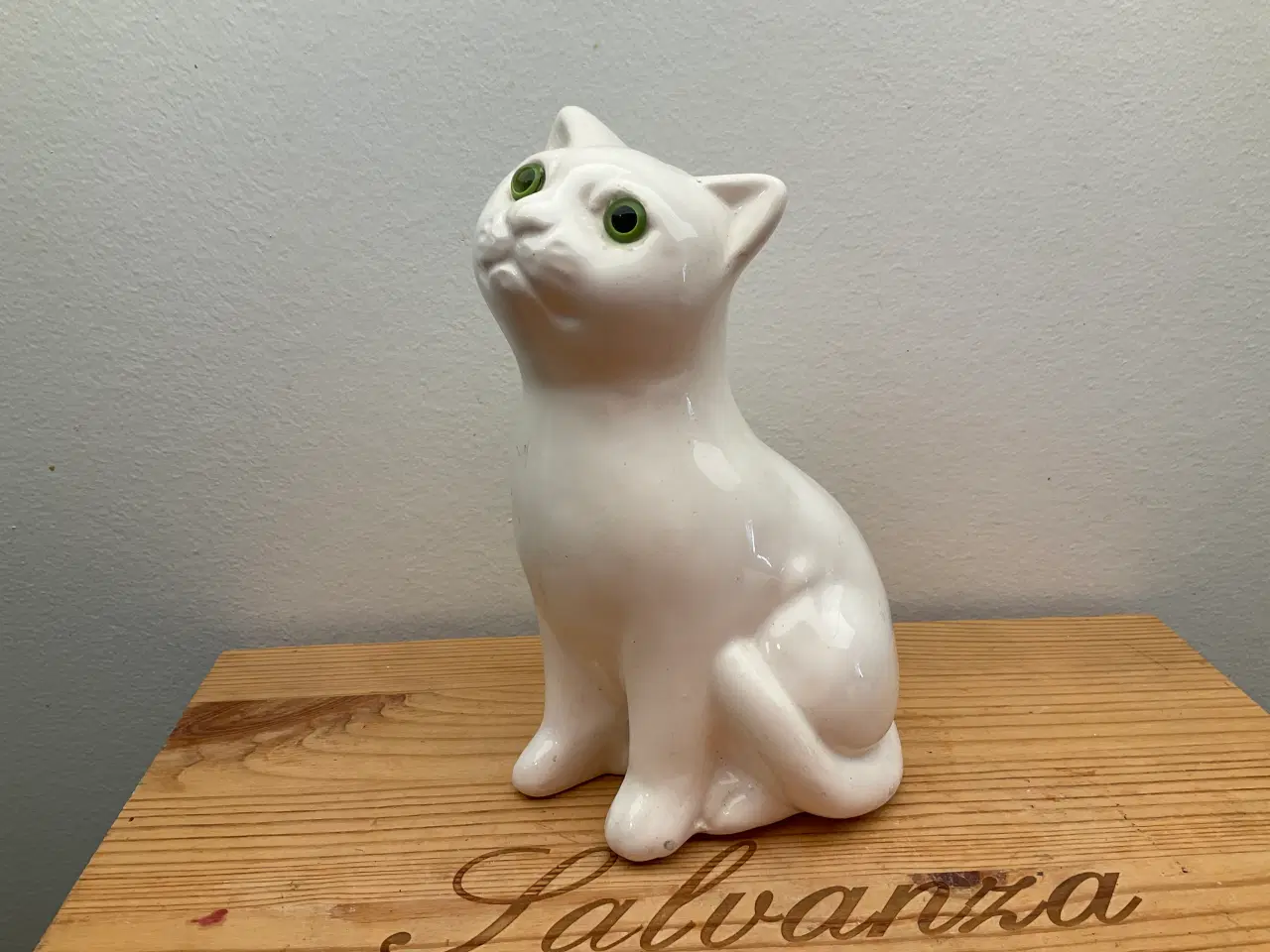 Billede 1 - Kat
