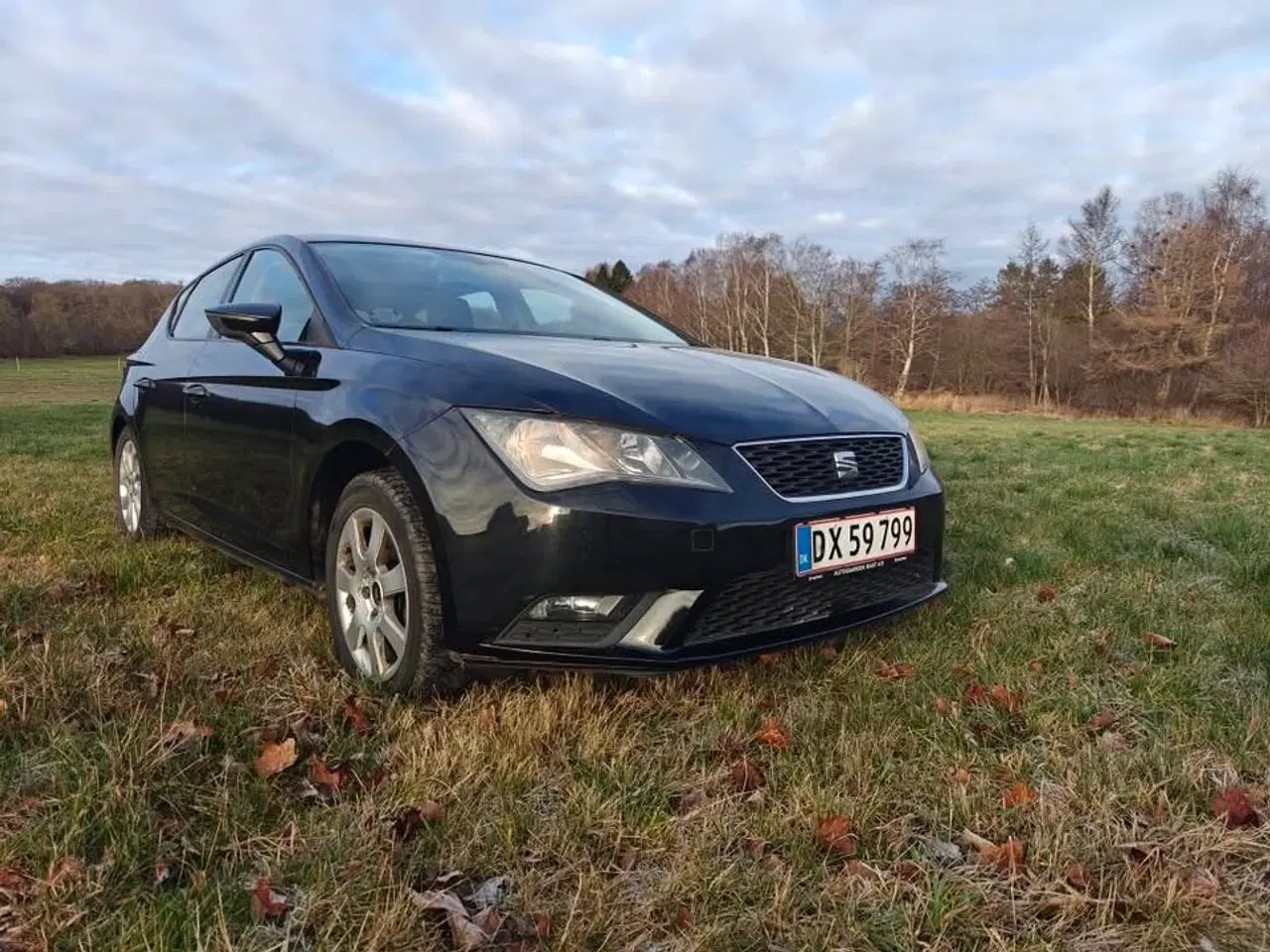 Billede 1 - SEAT Leon med massere af kræfter og komfort