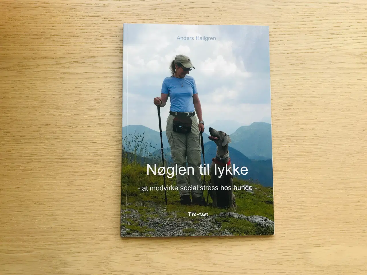 Billede 1 - Nøglen til lykke  -  Anders Hallgren