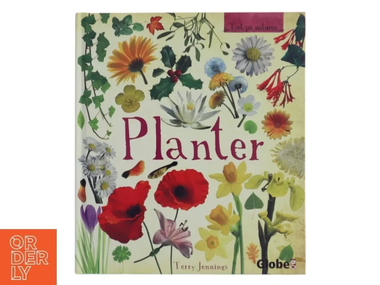 Billede 1 - Tæt på naturen : Planter af Terry Jennings (Bog)
