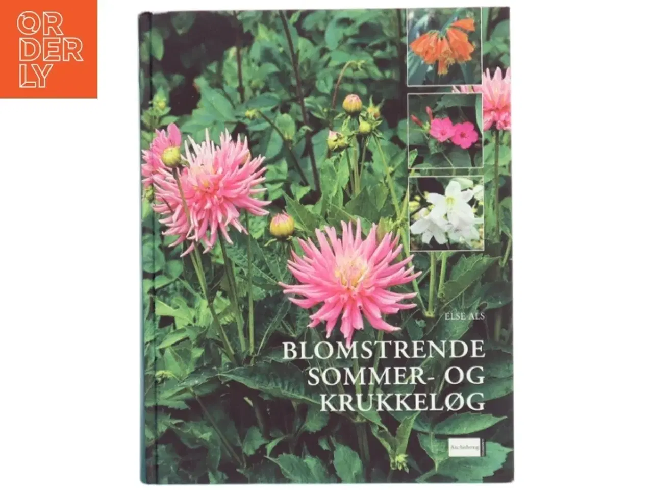 Billede 1 - Blomstrende sommer- og krukkeløg af Else Als (Bog)
