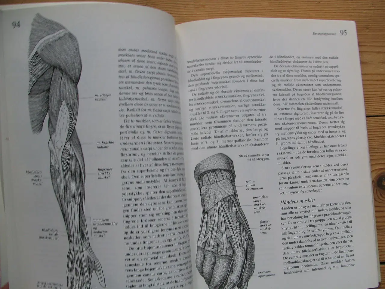 Billede 6 - Franz Bierring & Lars Garby. Anatomi & Fysiologi
