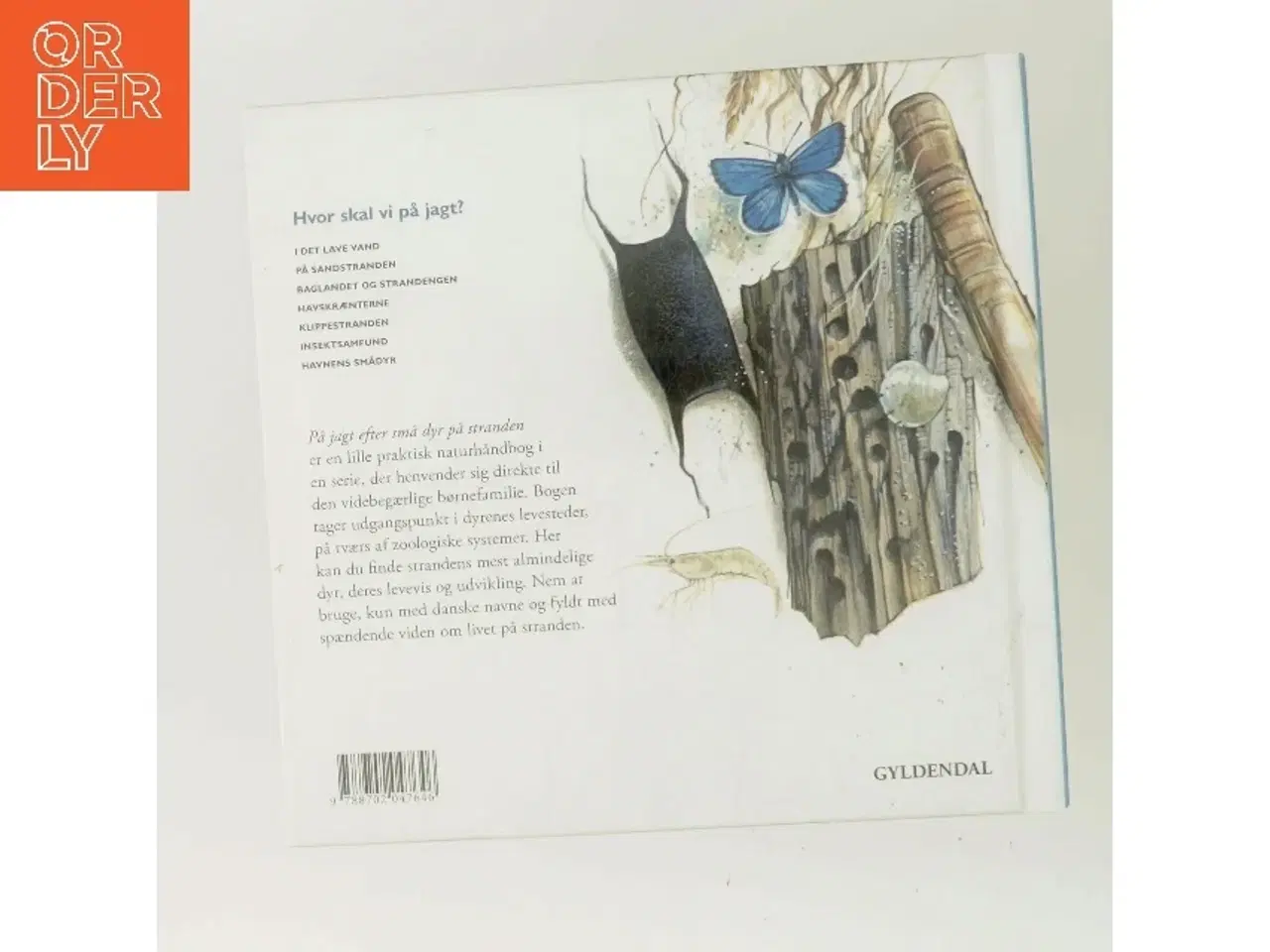 Billede 3 - På jagt efter små dyr på stranden af Peter Nielsen (f. 1946-05-08) (Bog)