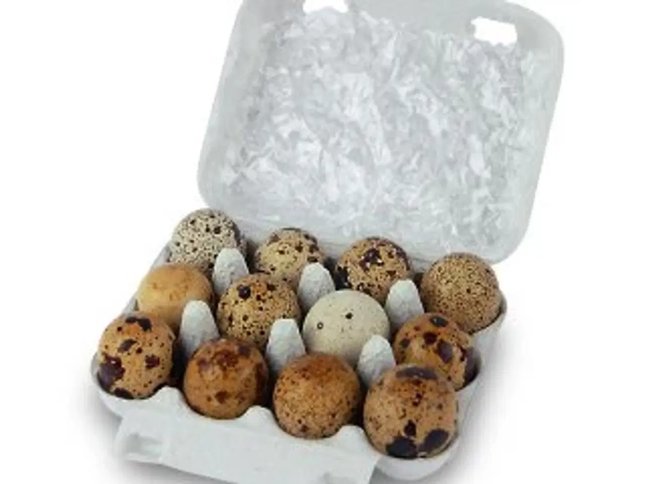 Billede 4 - Japanske Rosetta vagtler