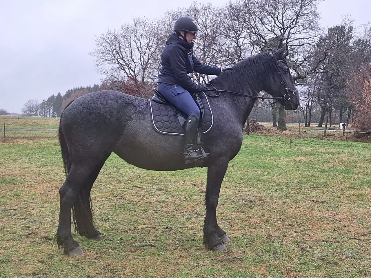 Billede 1 - Skøn barok frieser 