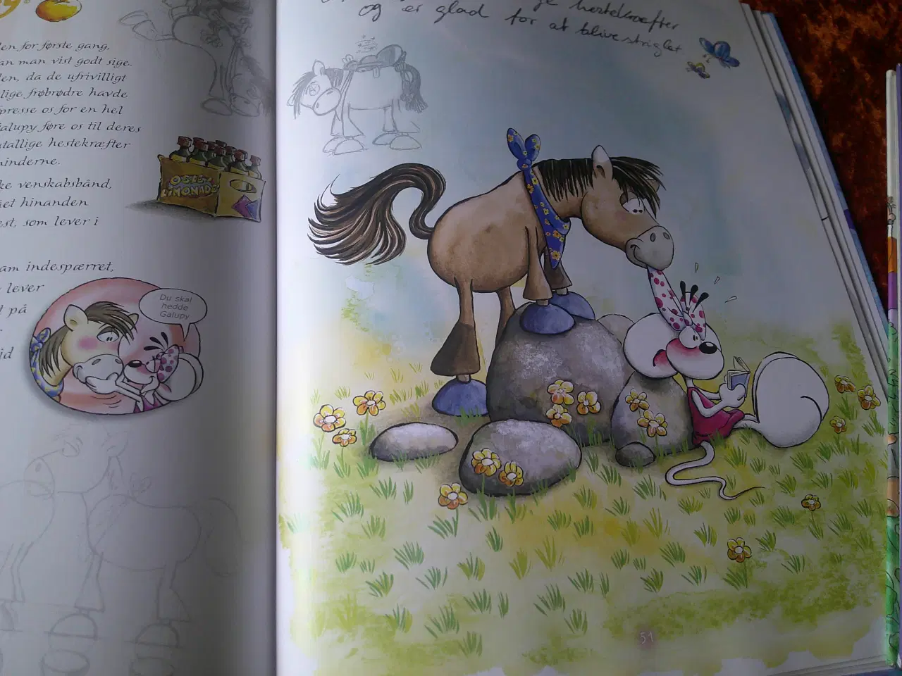 Billede 4 - Bogen om Diddl og hans venner, Thomas Goletz