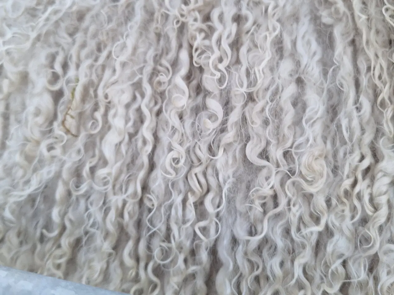 Billede 2 - Kidmohair - spinde - gedekid - oplevelse