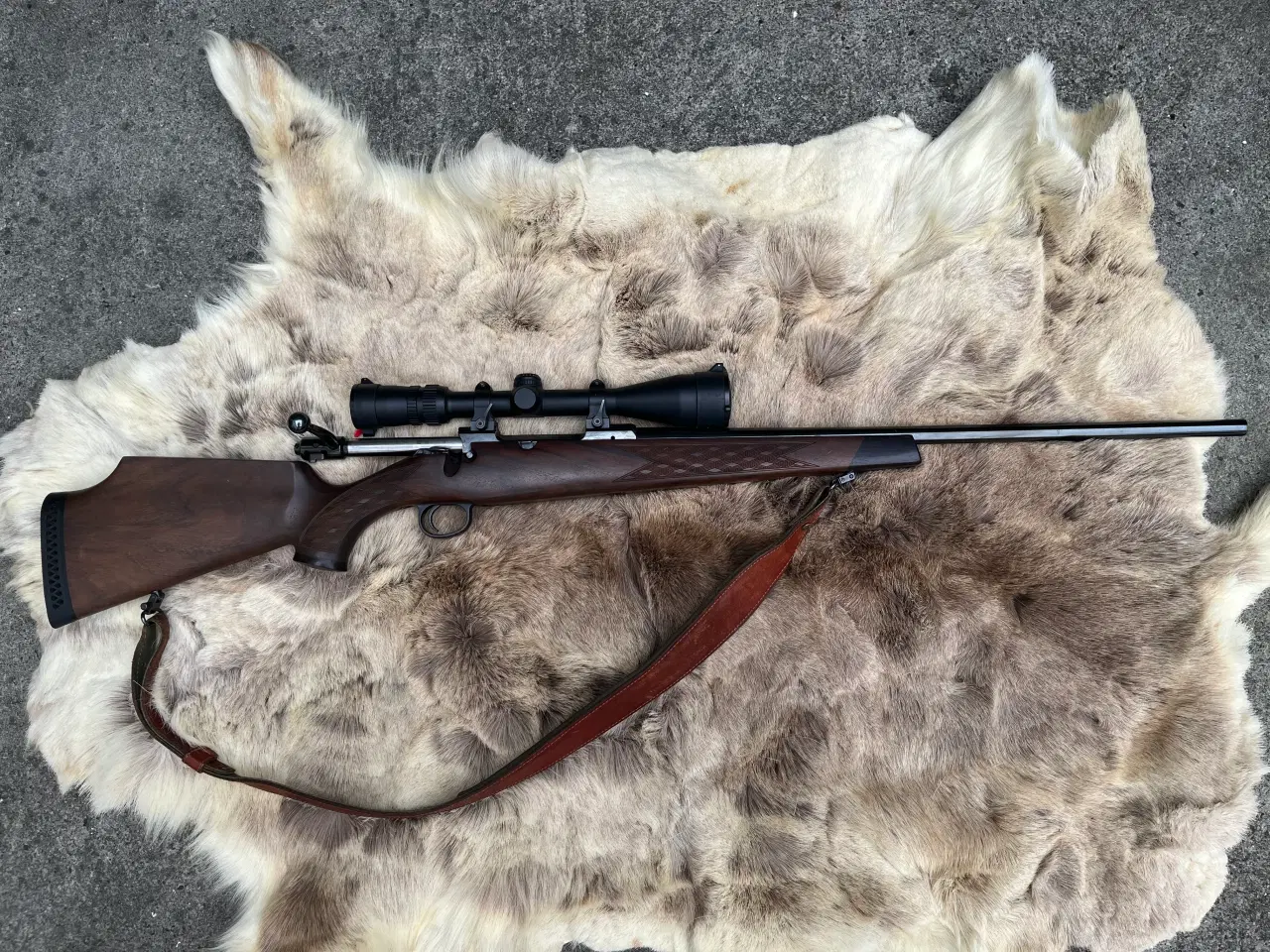 Billede 1 - Lakelander mod 389 243W