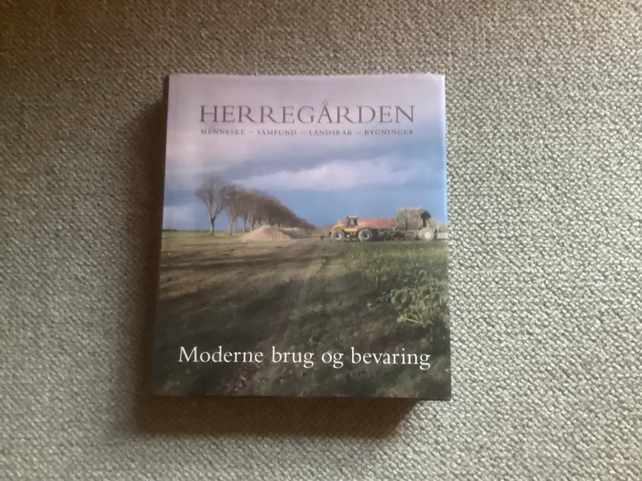 Billede 2 - Herregården nr. 4