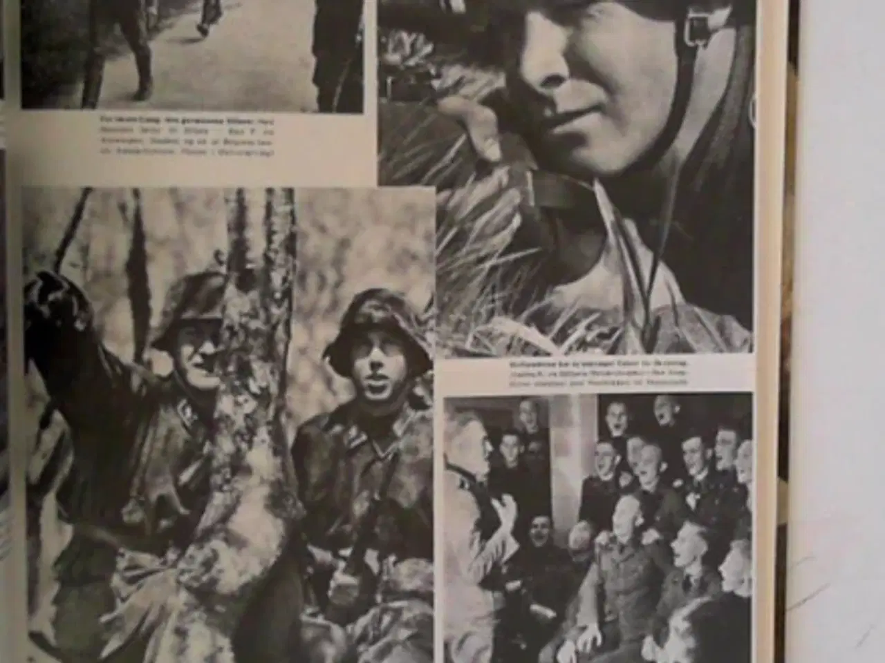 Billede 2 - Signal -nazisternes propagangabilledblad