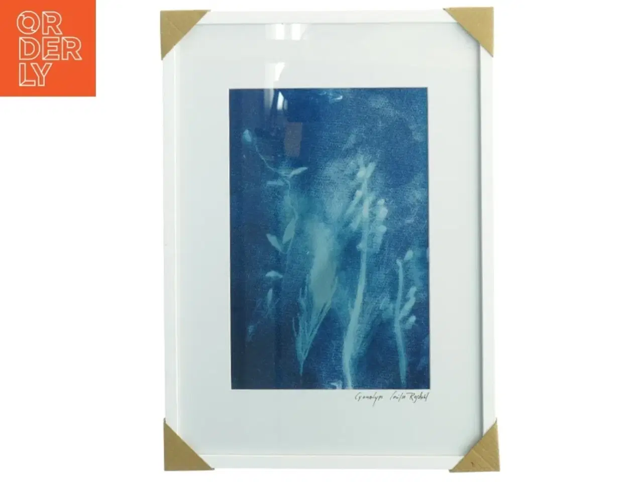 Billede 1 - Indrammet kunsttryk (str. 43,5 x 31,5 cm)