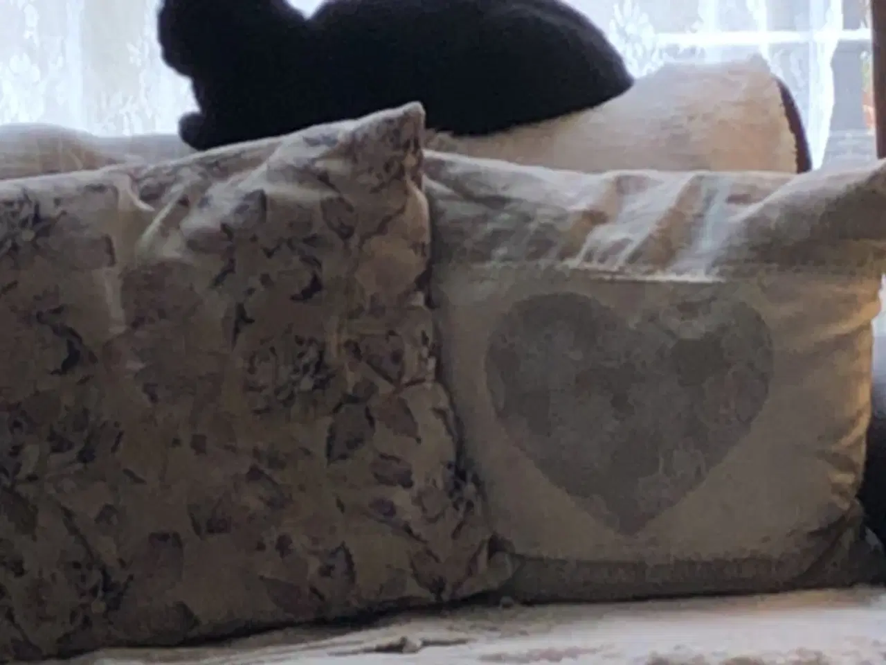 Billede 3 - Skøn kælen og kærlig hunkat/indekat søger hjem